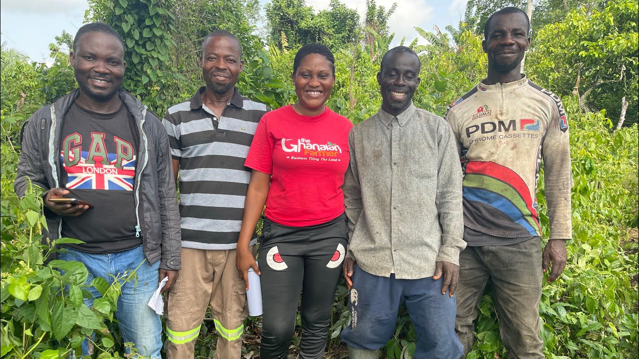 Всё, что вам нужно знать перед покупкой сельскохозяйственной земли в Гане 🇬🇭 | Подробности для вс...