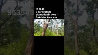 6 acre rubber plantation jn Vennur plse contact Green Realtors 9535431839