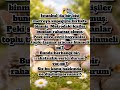 Evcil Hayvanların Toplu Taşıma Araçlarına Alınması Konusunda Ne Düşünüyorsunuz #kedi #köpek #kuş
