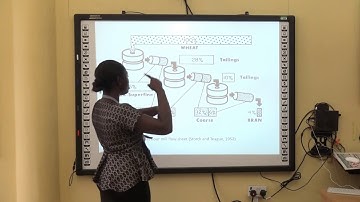 MILLING OF GRAINS FST 309 BY DR.MRS M.O OMOSEBI