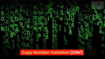 Copy Number Variation (CNV)