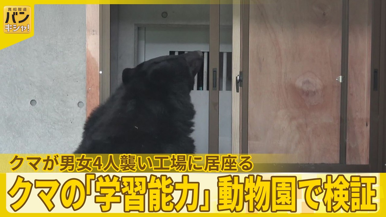 検証】クマの「学習能力」動物園で検証…男女4人襲い工場に居座る 窓