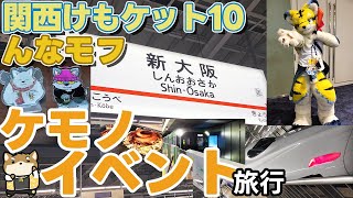 【関西けもケット＆んなモフ】今回の撮った着ぐるみとグッズを紹介します【雑談】
