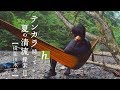 【釣り】夏の渓流探索Ⅱ【テンカラ】