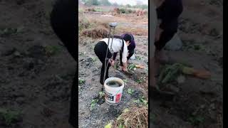 Chinese RAK amputee one leg woman working in the field on one crutch