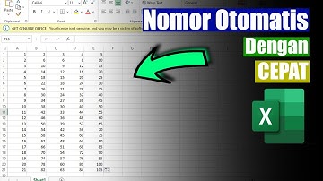 Cara Membuat Nomor Urut Otomatis Di Excel-Cukup 3 Detik Beresss