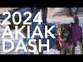 2024 akiak dash sled dog race mass start on the kuskokwim river