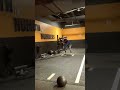 Gorilla 🦍 Strech!!