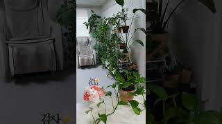 주의 궁정에서의 한 날이 다른 곳에서의 천 날보다 나은즉 악인의 장막에 사는 것보다 내 하나님의 성전 문지기로 있는 것이 좋사오니 여호와 하나님은 해요 방패이시라 ♡ 네네인쇄유튜브