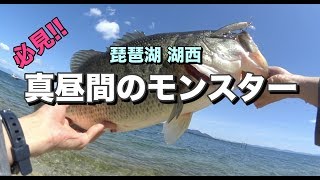 [琵琶湖バス釣り]　真昼間のモンスター