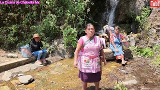 ✅En familia recorrimos el bosque buscando quelites y hongos para nuestra comida