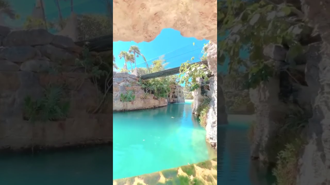 A Journey Through the Wilderness with Naturezomm