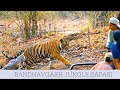 Bandhavgarh - A TOUR OF WILD LIFE || Bandhavgarh Jungle Safari 2020|| PRT vlogs