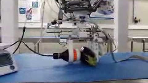 Robot gripper firmness eggplant assesment