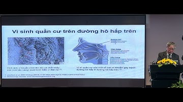 ĐỢT CẤP COPD: NHÌN LẠI VAI TRÒ ĐIỀU TRỊ CỦA KHÁNG SINH TỪ CÁC BẰNG CHỨNG