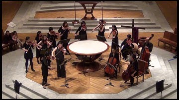 Sonnet Ensemble: Janacek - Suite for Strings Orchestra - 2nd movement excerpt