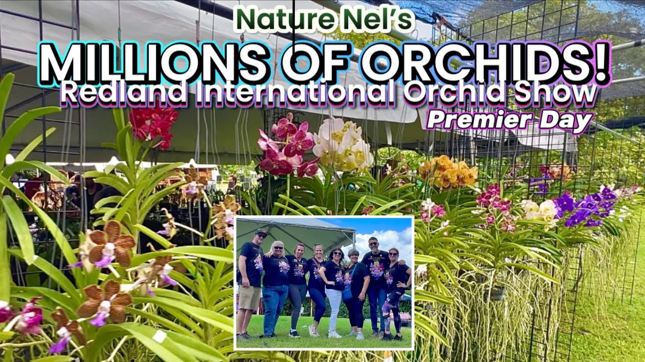 “Unveiling Rare Orchids & Exotics: Join Us at Florida’s Premier Orchid Show!” October 17-19 2025