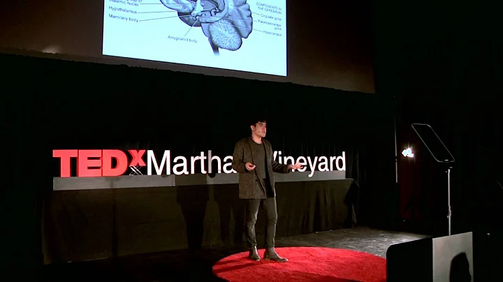Auteurs in the ether | Alan Palomo | TEDxMarthasVi...