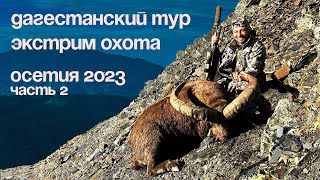 ЭКСТРИМ ОХОТА ч.2 : Покорение Гор Осетии за Дагестанским Туром! #охота #прицел #трофей #охотавгорах