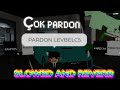 ÇOK PARDON SLOWED AN REVERB REMİX