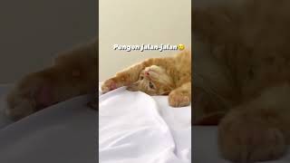 Download Lagu Pengen jalan-jalan, pengen makan-makan tapi uangnya ga ada😥#shorts #shorts #youtubeshorts #uang MP3