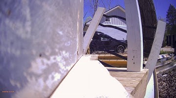 Swarm trap scout bee