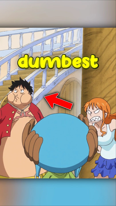 4 Momen Terbodoh Luffy 😭