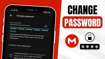 How to Change Password on Mega