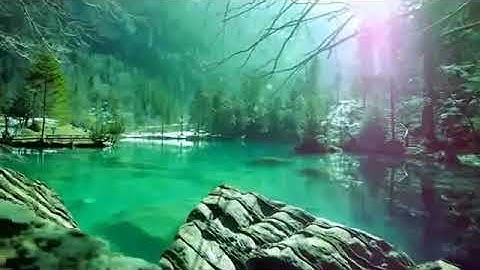 القارئ عمير شميم من سورة الصافات ( و ان يونس لمن المرسلين )