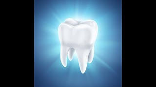 Зубы: строение, порядок расположения и сроки прорезывания зубов