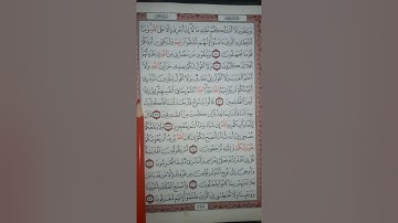 سورة هود من آية (٢٩) إلى الآية (٣٧) ص٢٢٥