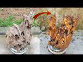 Amazing driftwood  how to clean and decorate driftwood  cement plus