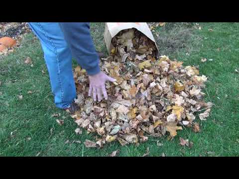 ASMR Raking Fall Leaves