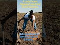 #treasuresearch#excitingopportunity#grounddigging.