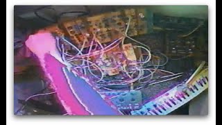 Electro Hickey Funktabulation (Cocoquantus, Plumbutter, Prophet 5, Arp Odyssey, TT-78, Vongon verb)