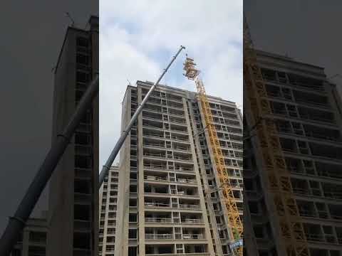 Biggest Mobile Cranes