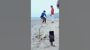 Amazing 😍 videography swimming #creative  #ideas #trending #shorts #videography