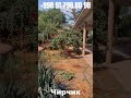Продается дом на Наваи! Шанс, который нельзя упустить! 🏡 10 соток счастья в Навои ❤️