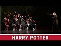HARRY POTTER CHOREOGRAPHY by AleMayrink