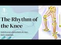 🚨 Stop Knee Pain NOW  👉🏼 Easy, fast & effective #Exercises | Healthy & #Painfree Knees for life