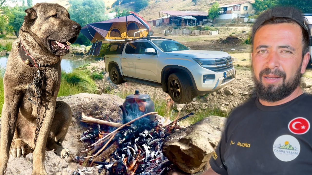 МЕЧТА БИЗНЕСМЕНА СБЫЛАСЬ!!! ЖИЗНЬ В ГОРАХ, ОДИН ДЕНЬ С СЕМЬЕЙ / КЕМПИНГ В ГОРАХ