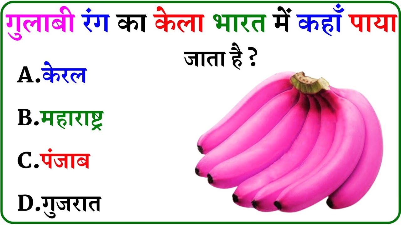 GK Question || GK In Hindi || GK Question and Answer || GK Quiz ||