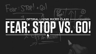 Micro Class: Fear: Stop vs. GO! Net Worth