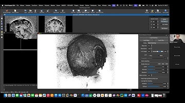Rainer Goebel: Layer-fMRI course material, first release. edited video will follow.