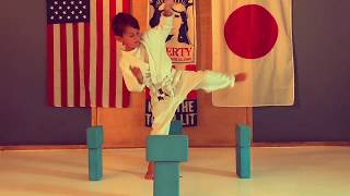 The 5 Major Shotokan Karate Kicks - 6 Year Old Beginner