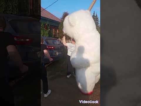 Белый мишутка Умка с большим удовольствием поздравил Светлану с Днём рождения!!! 😍🥰😘