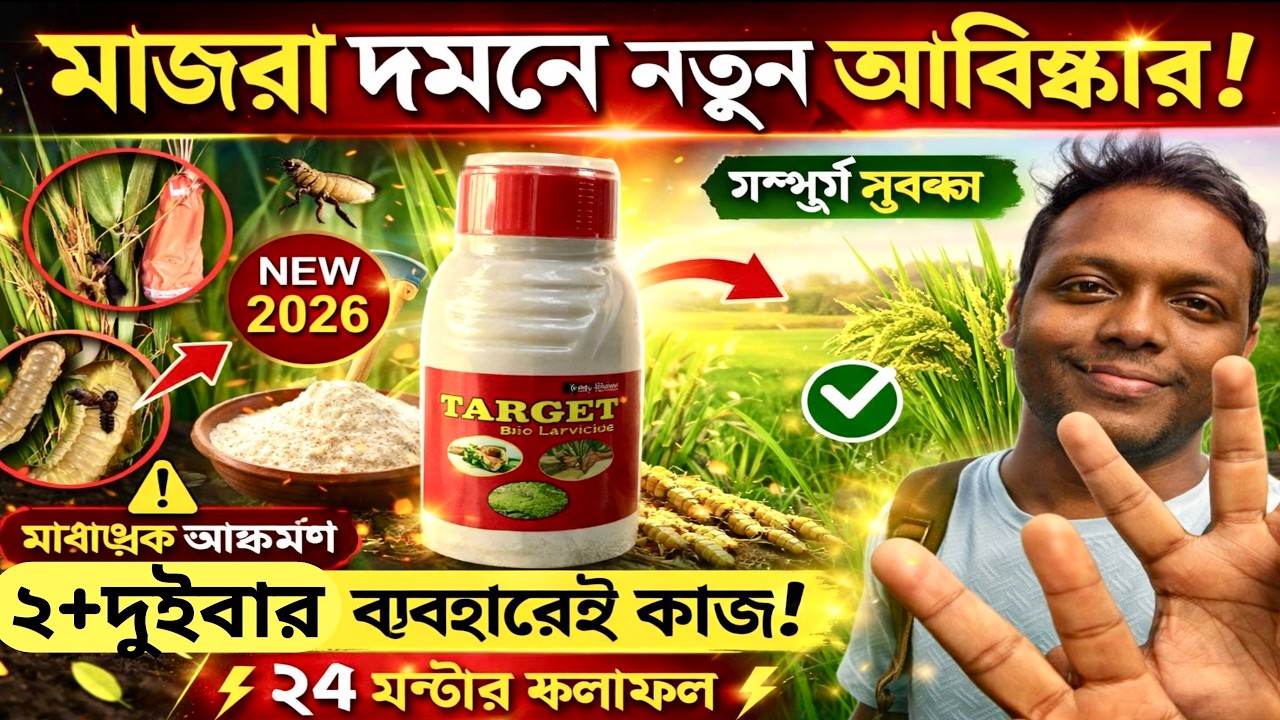মাজরা এখন হাতের মুঠোয়✅মাত্র ২+২বার @AgricultureBook