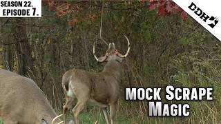Mock Scrape Magic  | Deer & Deer Hunting TV