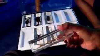 Bugs and Insects collection