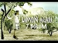 Limon A?ac? 7.Blm